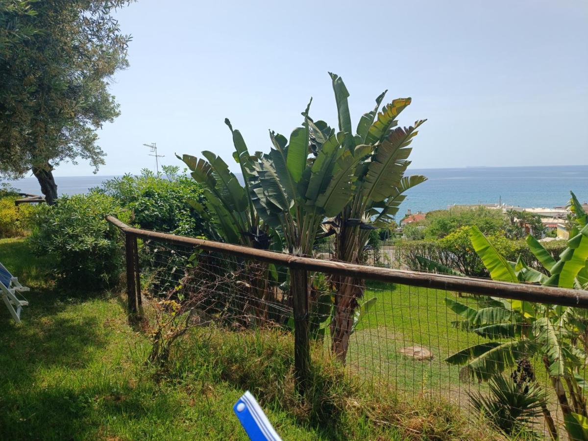La Dea Del Mare Apartment Forio  Bagian luar foto