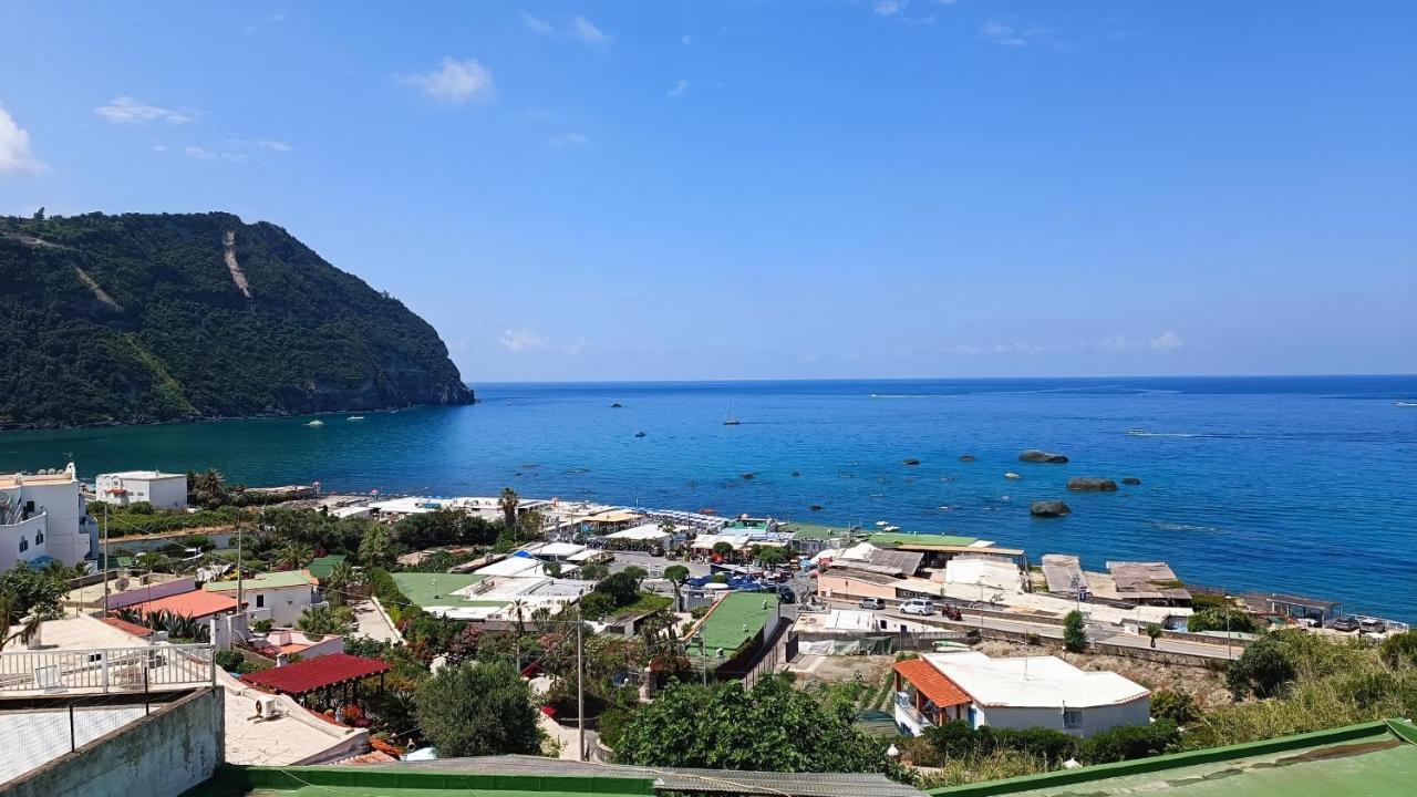La Dea Del Mare Apartment Forio  Bagian luar foto